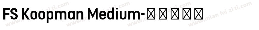 FS Koopman Medium字体转换